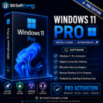 Windows 11 Pro